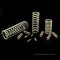 Professional Custom Stainless Steel Compression Spring